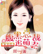 宝宝出击:腹黑总裁追萌妻