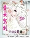贵女驾到