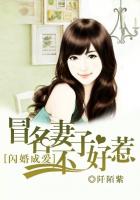 闪婚成爱:冒名妻子不好惹