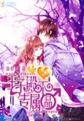 迷糊小白斗美男:王子殿下专属品