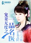 宠妻无度之一品名医