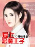 爱上恶魔王子