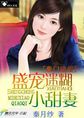 三国之四世三公