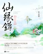 仙缘错:惊世情劫