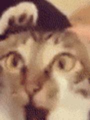 ��ɱ�Ҽ��Σ��Ҿ��޵���