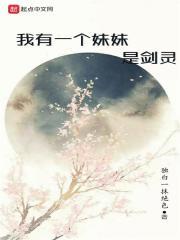 ���Ǳ�����С˵��ʲô