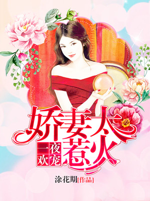 一夜欢宠:娇妻太惹火